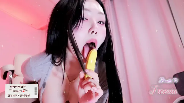 kbj freezia 2025-12-22 - Korean BJ